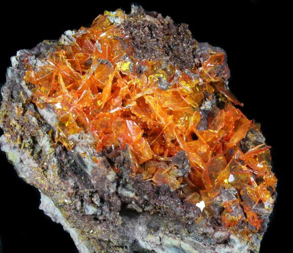 Bright Orange Wulfenite Cluster - Rowley Mine, AZ #39139